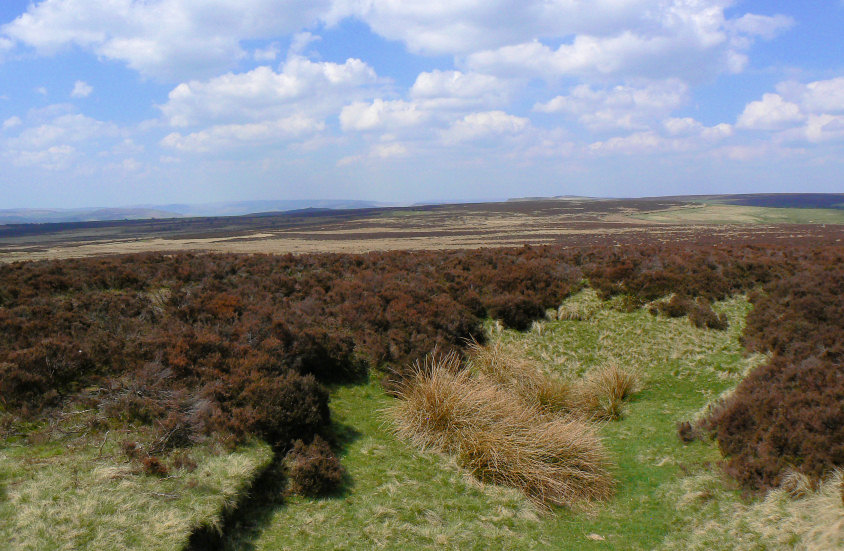 Totley Moor Totley Moor
